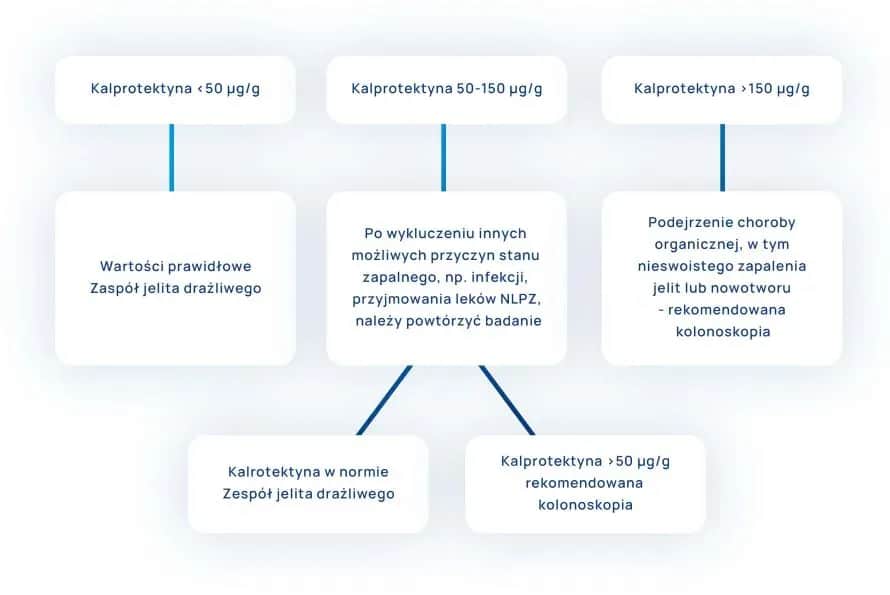 Wysoka kalprotektyna w kale: Co to oznacza dla twojego zdrowia?