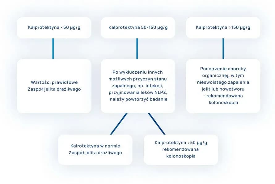 Wysoka kalprotektyna w kale: Co to oznacza dla twojego zdrowia?