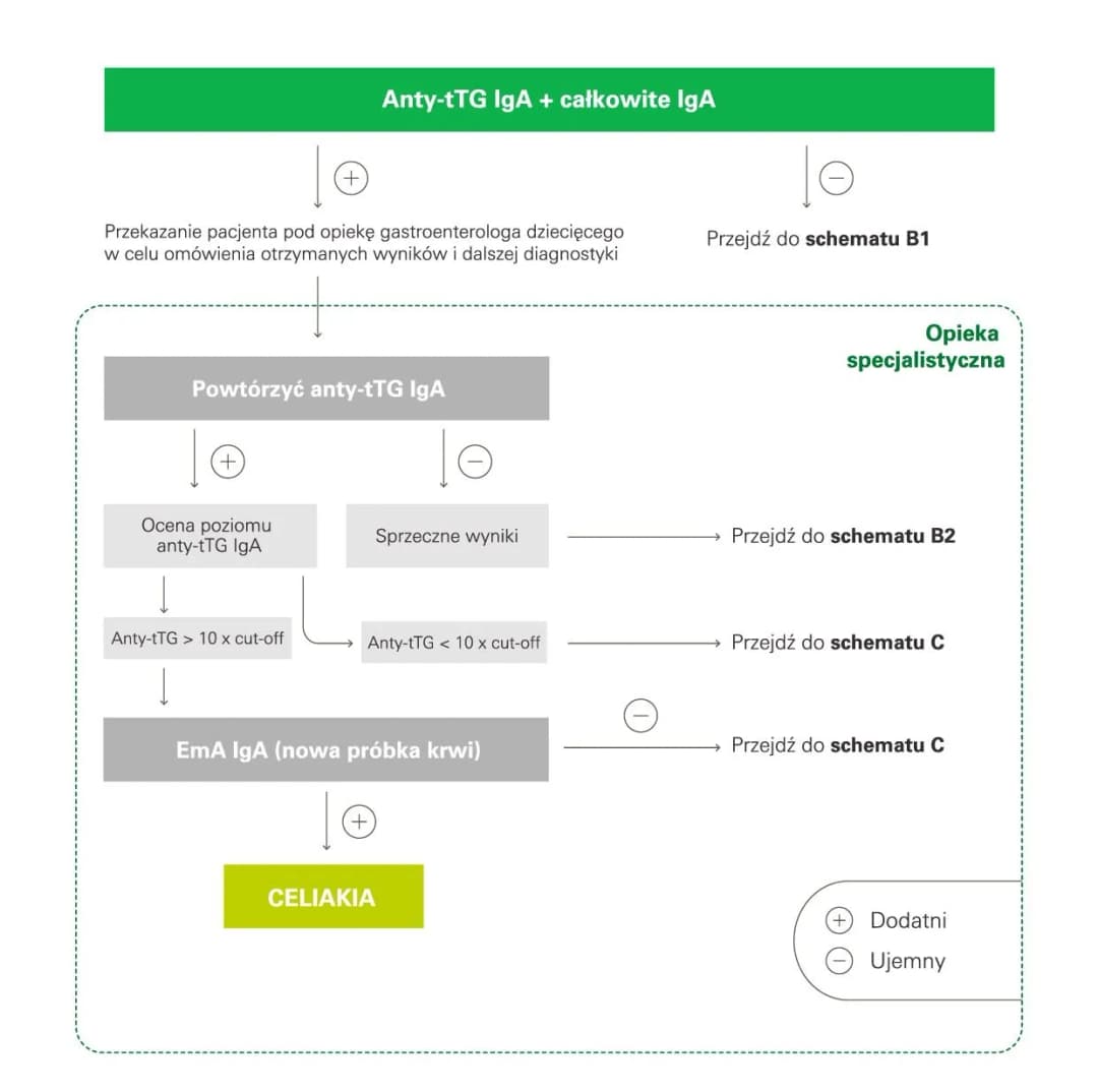 Celiakia - badania krwi w diagnostyce choroby trzewnej