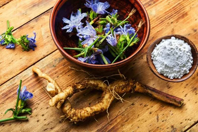 Inulina kontra SIBO: Korzyści i zasady stosowania