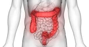 Bakterie w jelicie grubym - groźne objawy zakażenia