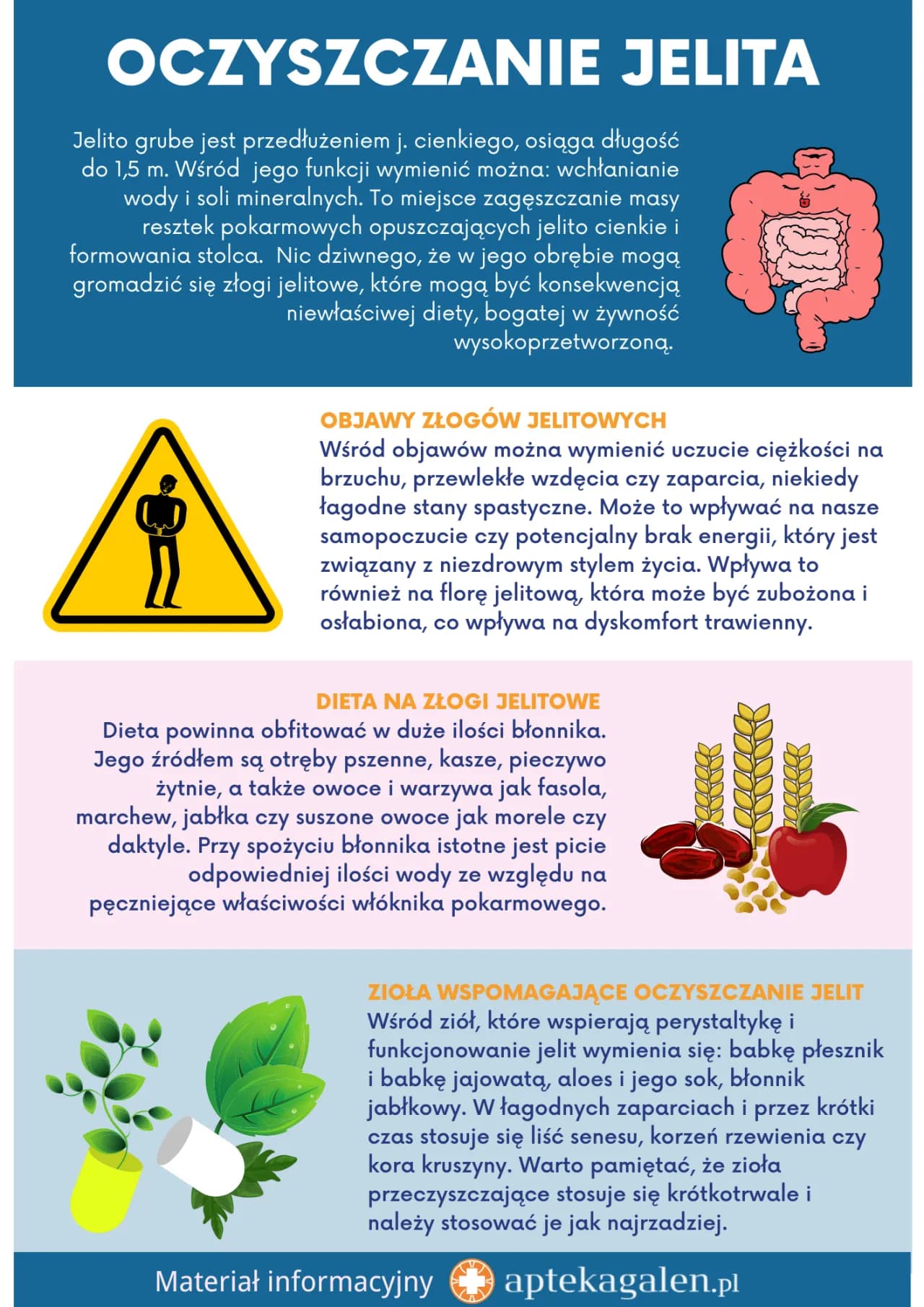Jak pozbyć się złogów w jelitach i poprawić zdrowie trawienia
