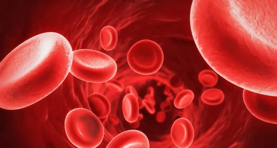 Czy mogę wypić kawę przed badaniem krwi? Sprawdź, co musisz wiedzieć