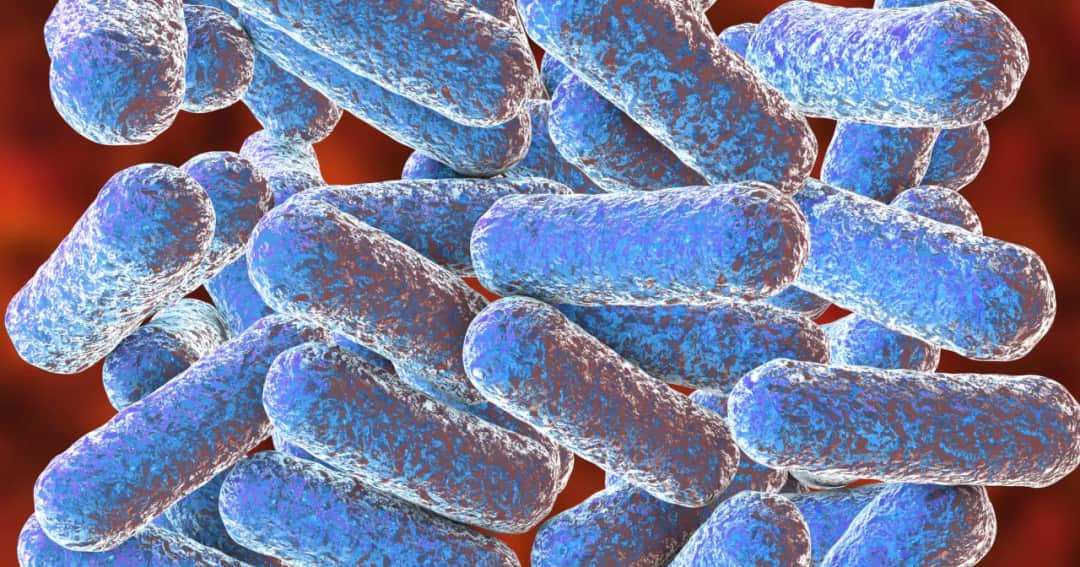 Morganella morganii w moczu: potencjalne zagrożenia