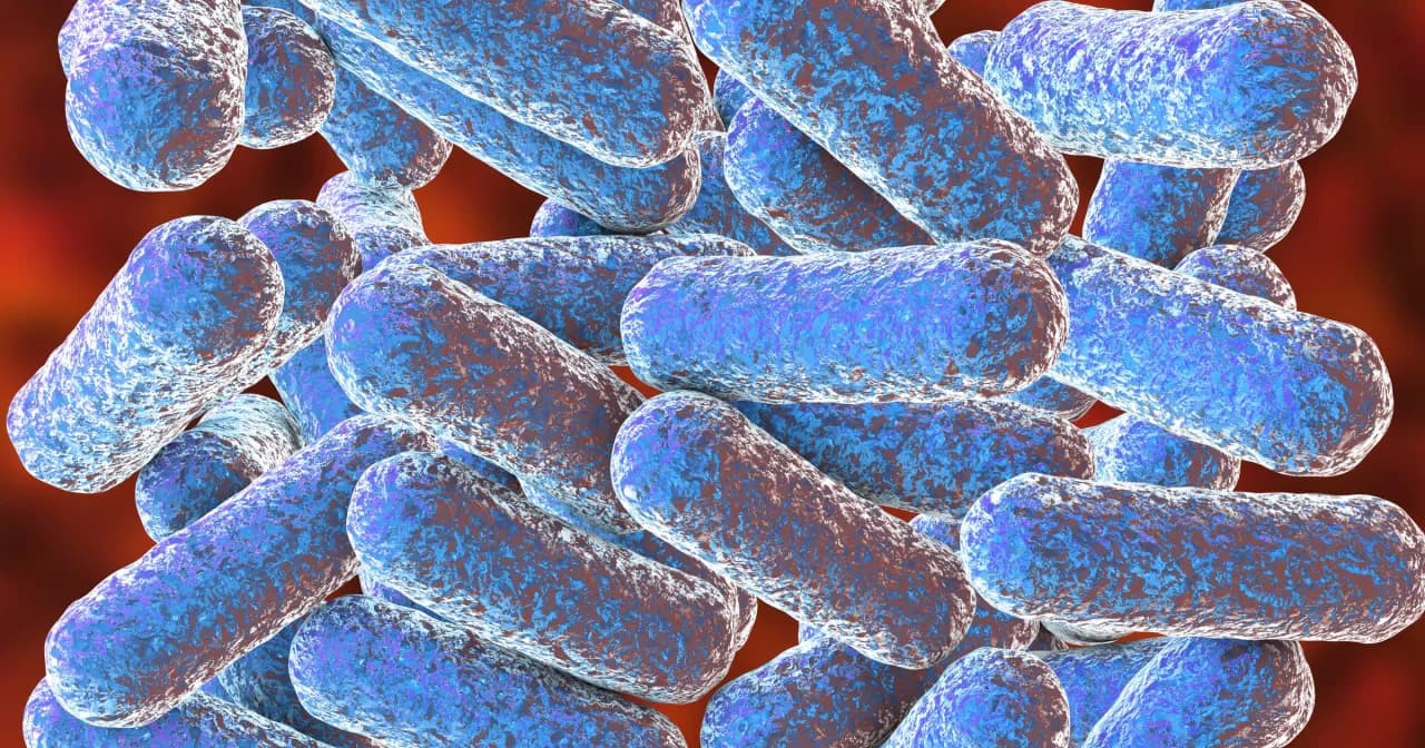 Morganella morganii w moczu: potencjalne zagrożenia