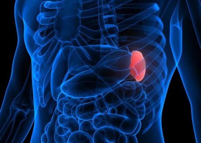 Nowotwór śledziony objawy: jak je rozpoznać i kiedy szukać pomocy