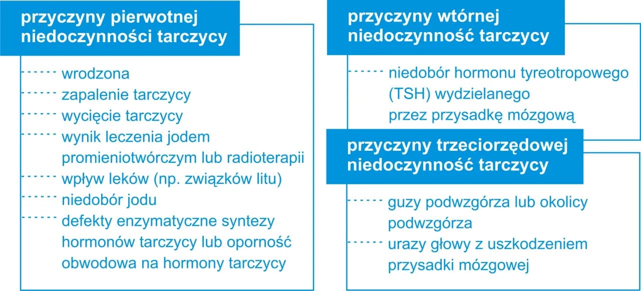 Niedoczynność tarczycy przyczyny: Co może prowadzić do problemów?