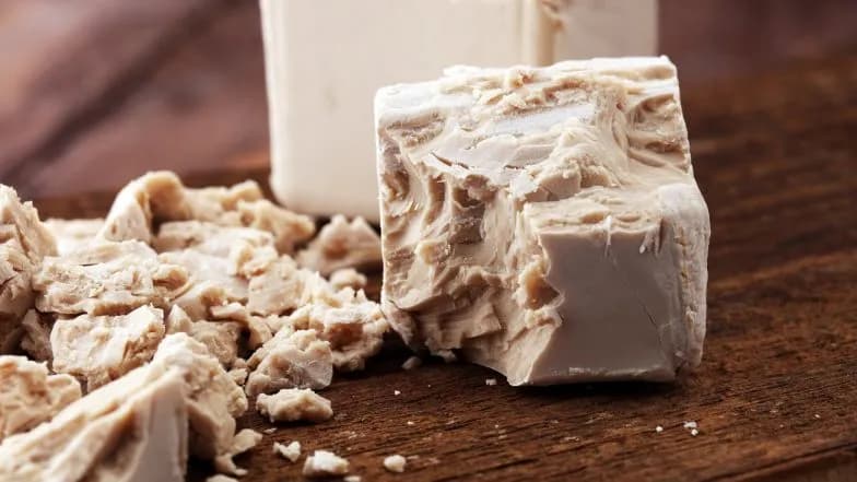 Czy drożdże są zdrowe: poznaj prawdę o ich wpływie na organizm