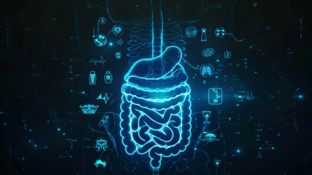 Zespół złego wchłaniania: 7 objawów i 5 zagrożeń dla zdrowia