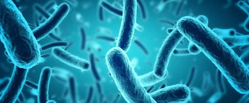 Liczne bakterie w moczu: 7 zagrożeń dla ciężarnych i ich dzieci