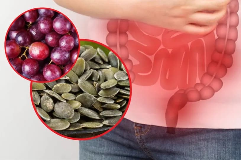 Co jeść przed badaniem kału, aby uniknąć błędnych wyników?