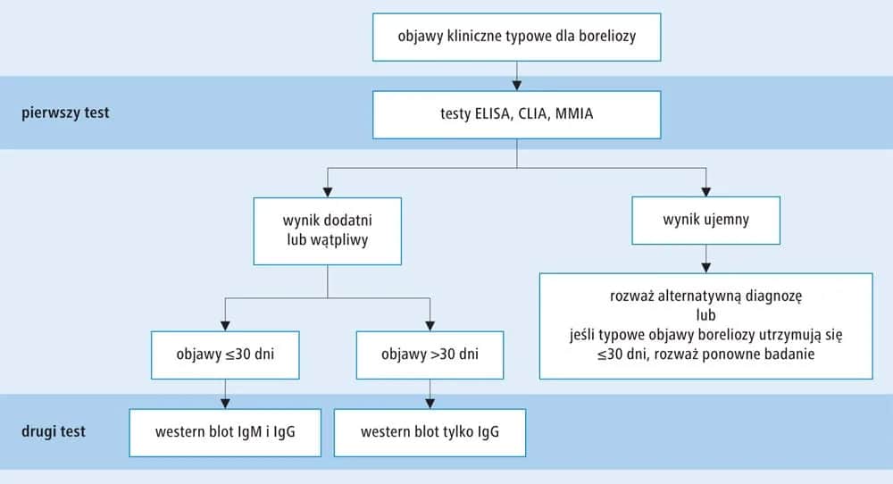 Metoda CLIA: jak działa i dlaczego jest tak ważna w diagnostyce?
