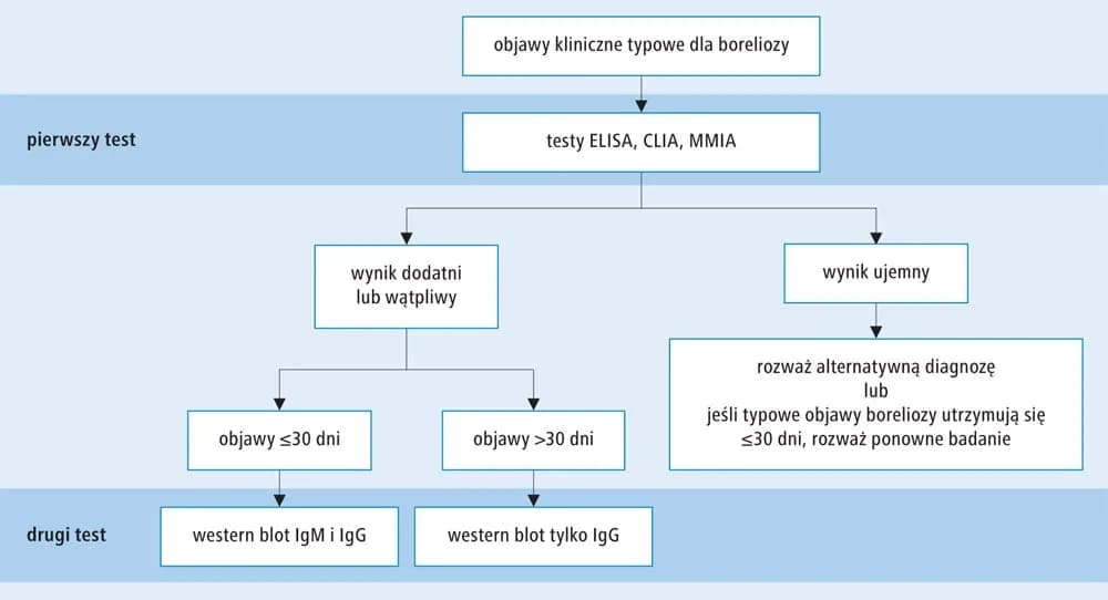 Metoda CLIA: jak działa i dlaczego jest tak ważna w diagnostyce?