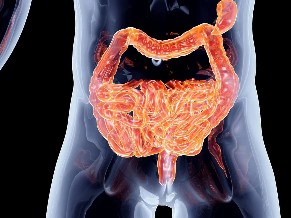 Jakie są objawy jelita grubego, które mogą wskazywać na chorobę?