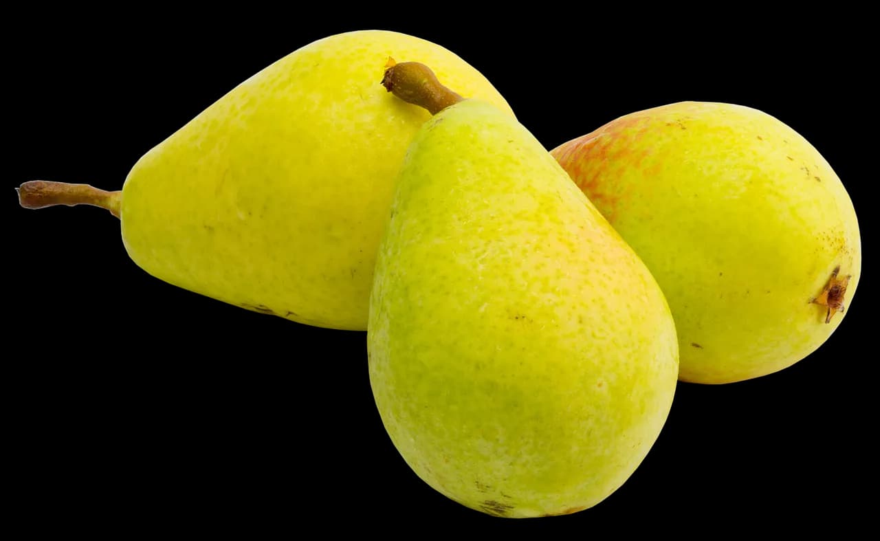 Czy gruszki są zdrowe? Poznaj 7 właściwości leczniczych tego owocu