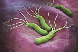 Helicobacter pylori - badania krwi i testy diagnostyczne