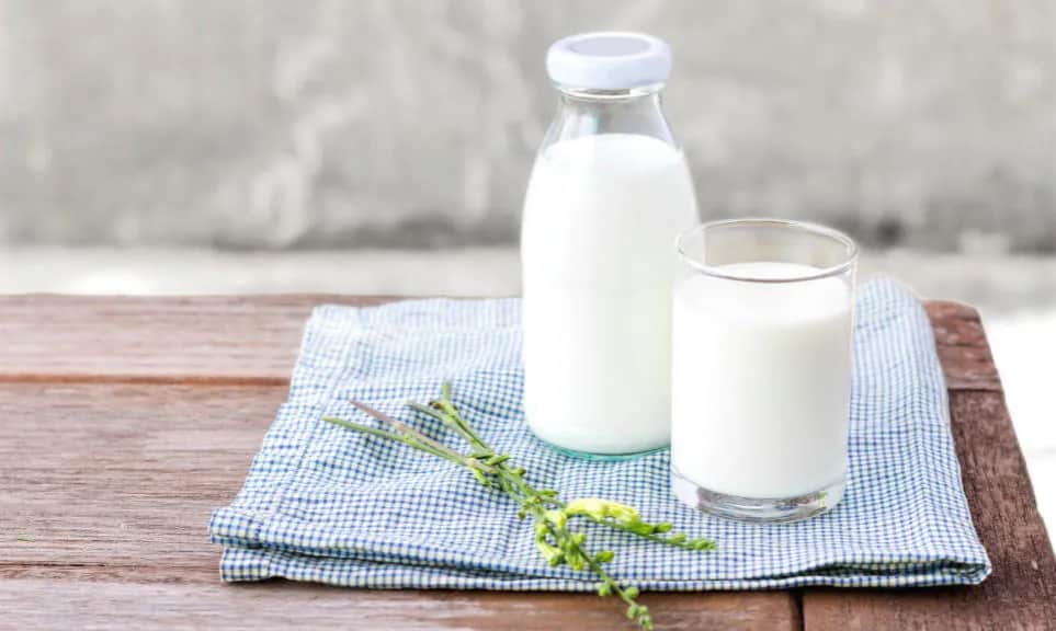 Czy mleko jest zdrowe: fakty i mity o jego wpływie na organizm człowieka