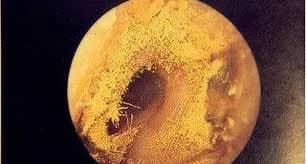 Candida parapsilosis w uchu - objawy zakażenia grzybiczego