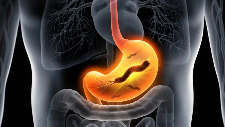 Ile kosztuje badanie na Helicobacter pylori? Ceny w całej Polsce