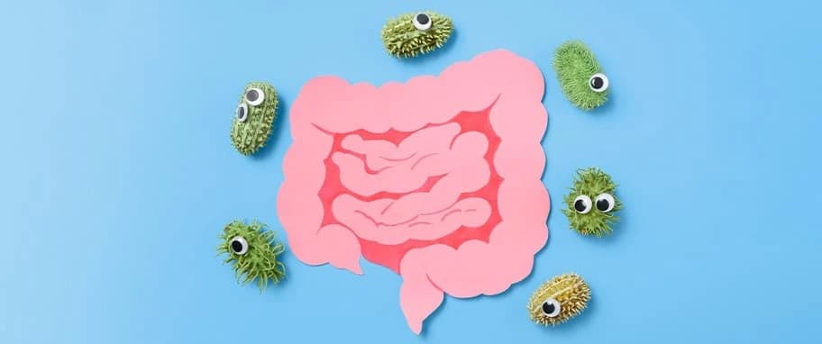 Badanie flory bakteryjnej jelit - cena i refundacja