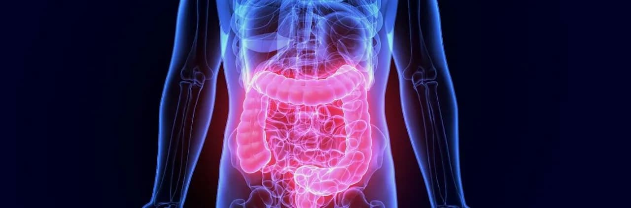 Rzekomobłoniaste zapalenie jelit objawy - jak je rozpoznać i leczyć