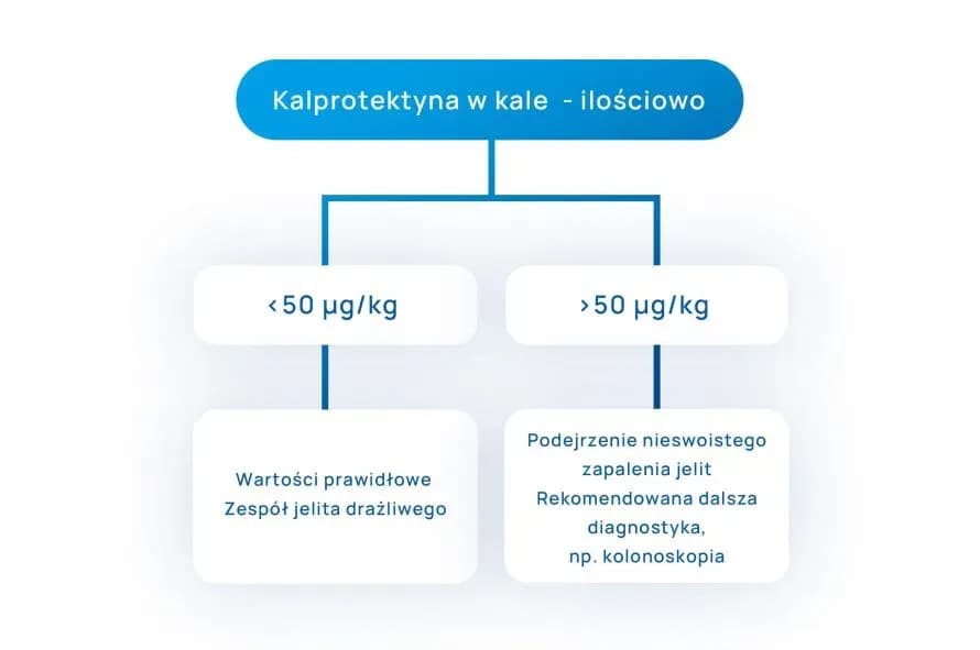 Co oznacza podwyższona kalprotektyna i jakie są jej możliwe przyczyny