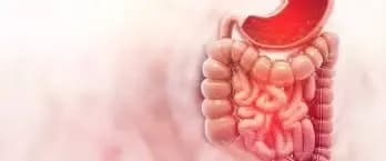 Jak skutecznie wyleczyć grzybicę jelit? Sprawdzone metody leczenia
