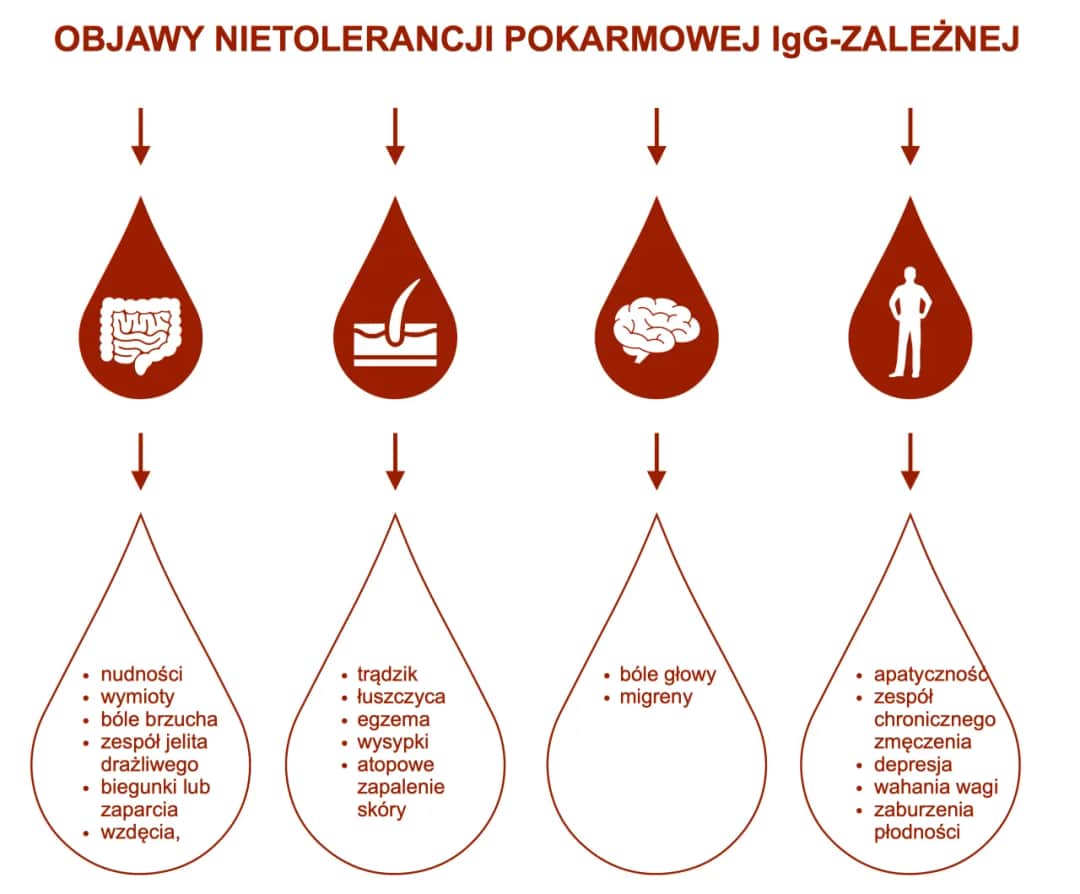 Czy warto zrobić test na nietolerancję pokarmową: fakty i opinie ekspertów