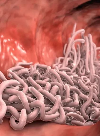 Choroby pasożytnicze: 9 najgroźniejszych infekcji. Jak się chronić?